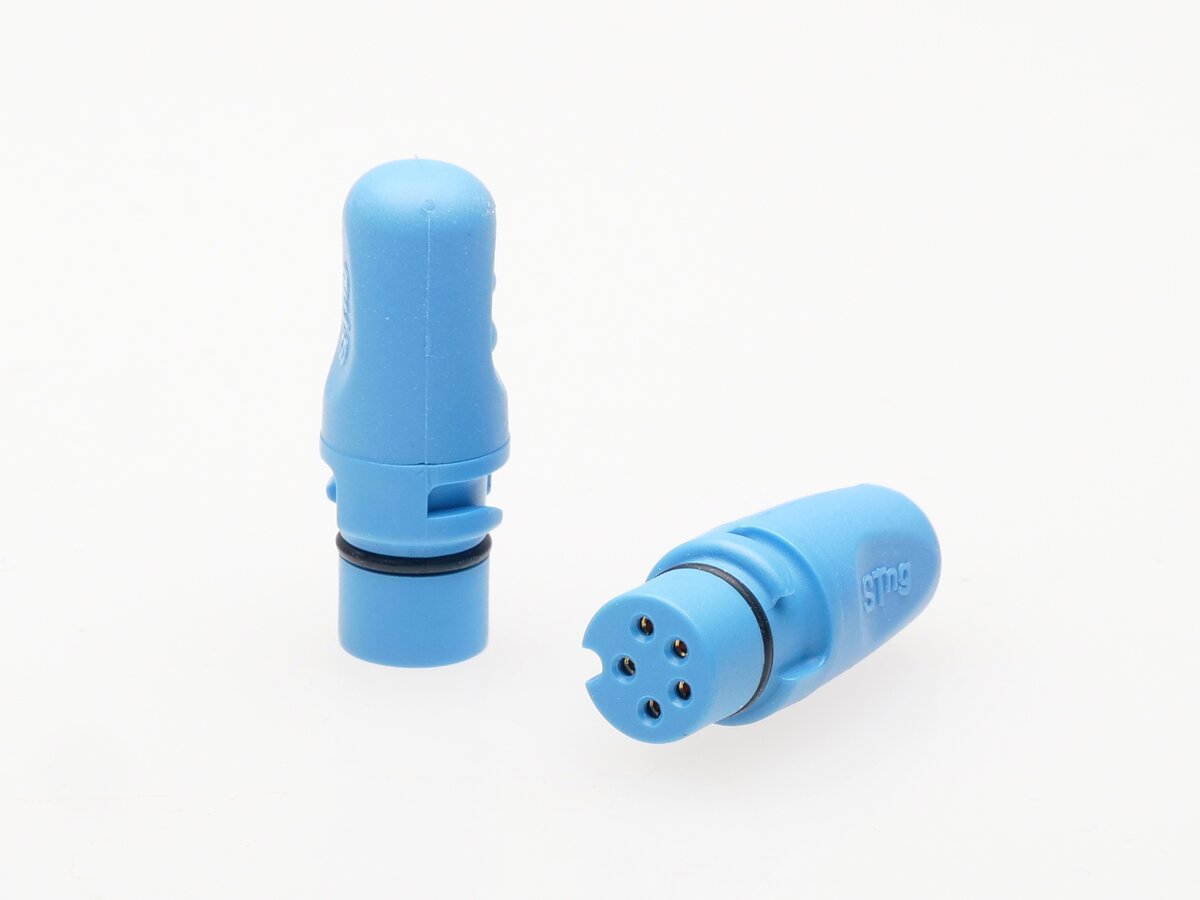 A06031 Raymarine STNG Backbone Terminator