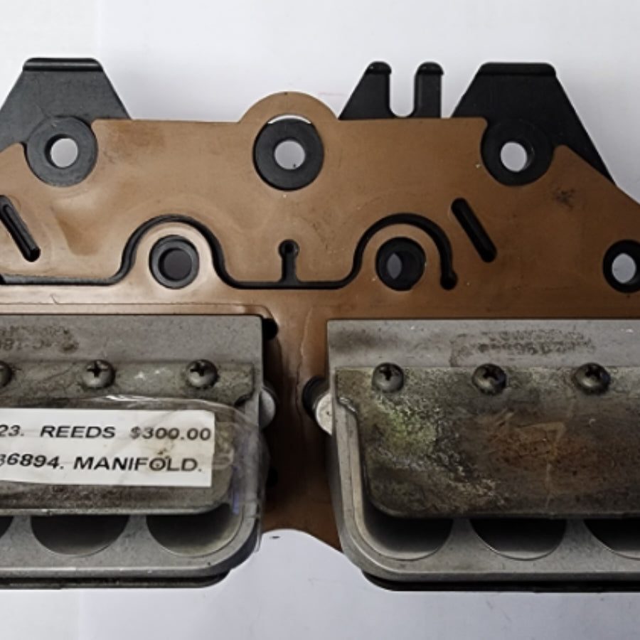 0436894 0389823 BRP Reeds & Manifold | Genuine Used Part
