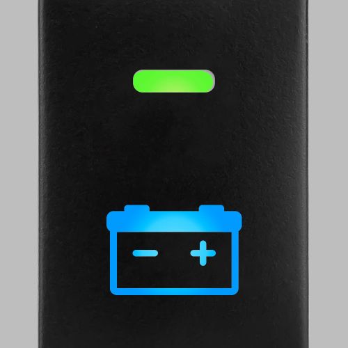 SHORT-TOY-AUX | Genuine STEDI Product