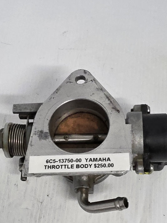 6C5-13750-00 Yamaha Throttle Body | Genuine Used Part