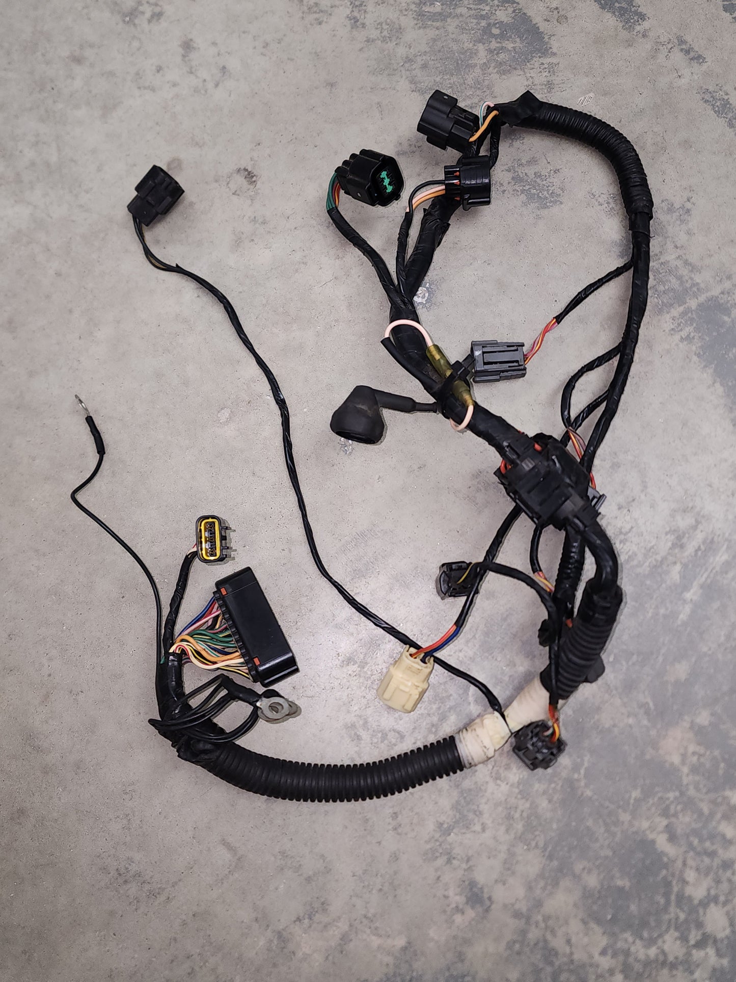 881364T05 Mercury Harness | Genuine Used Part