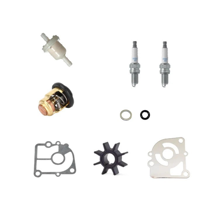 8M0227353 Aftermarket Mercury Pro Kicker 9.9HP EFI 209cc (1R281445 & Up) Service Kit | Sawley's Select Marine Parts