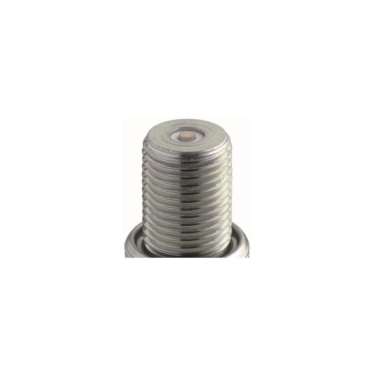 R6601-11 NGK racing spark plug firing end