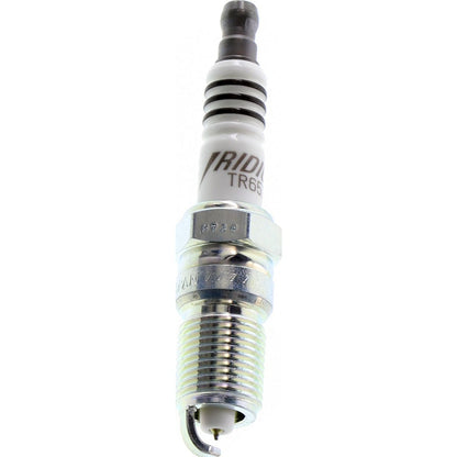 TR65IX NGK iridium spark plug