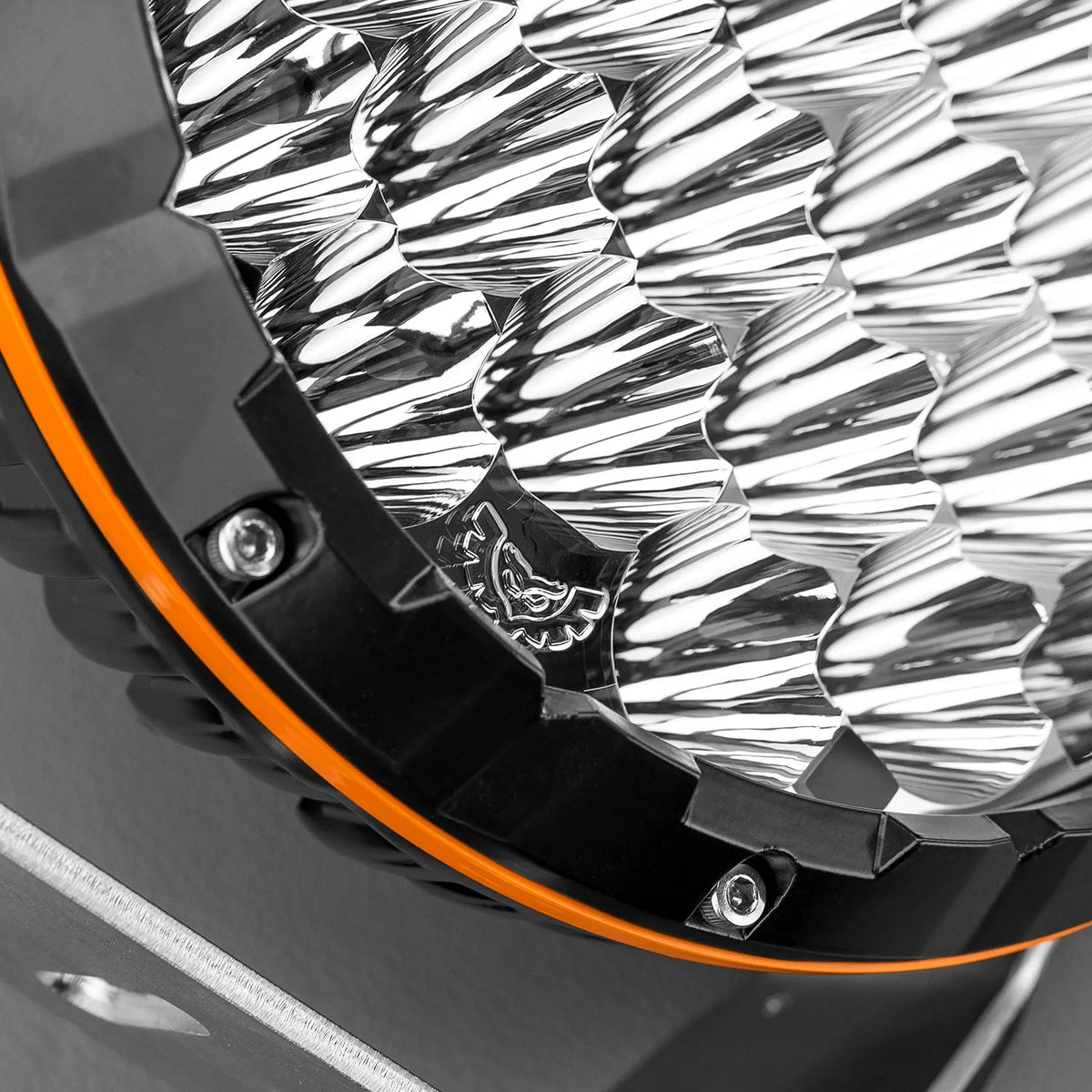 LEDTYPE-X-SRT 8.5" Type-X Sport | Genuine STEDI Product