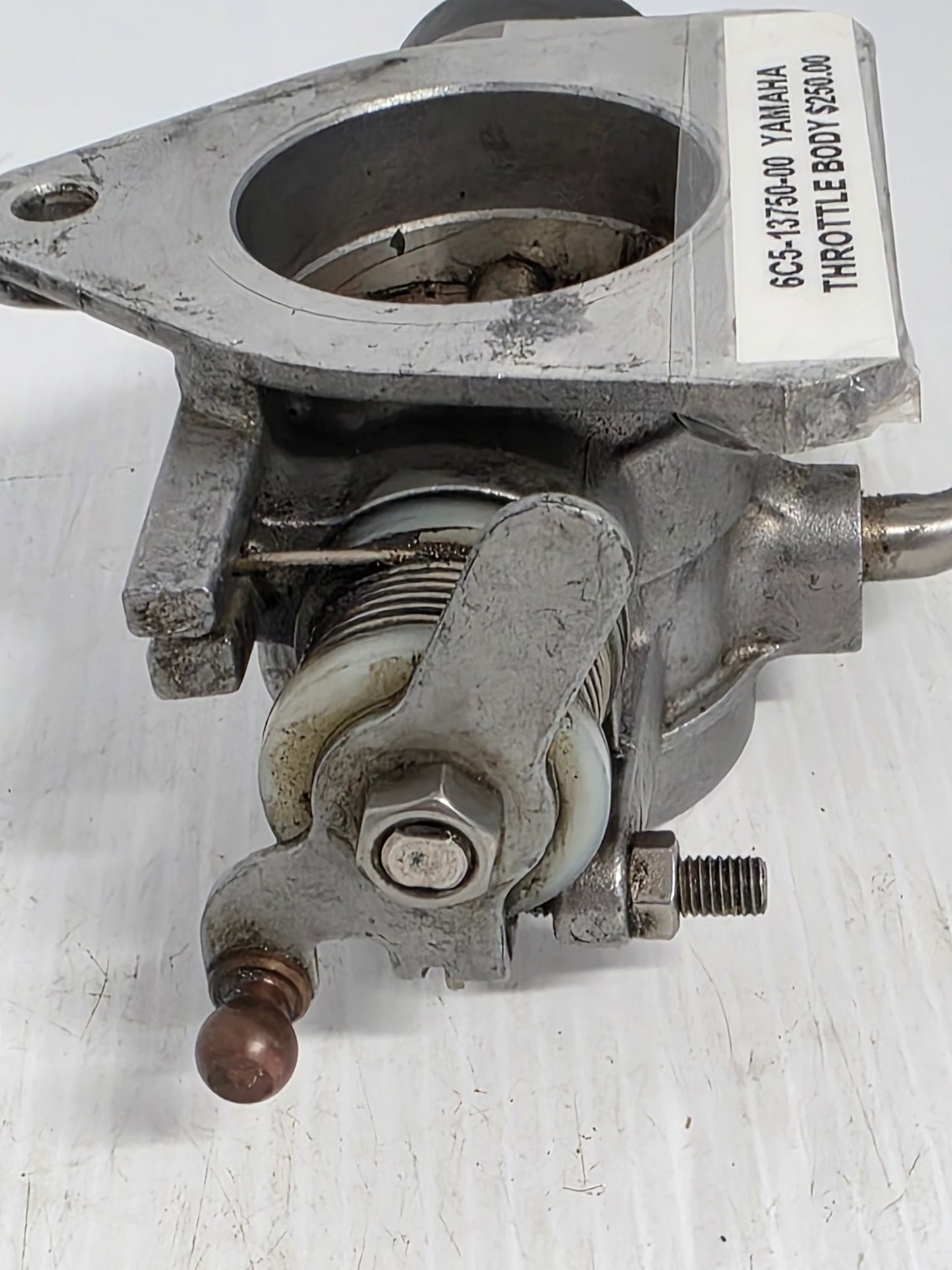 6C5-13750-00 Yamaha Throttle Body | Genuine Used Part