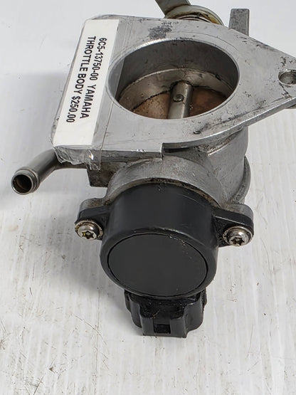 6C5-13750-00 Yamaha Throttle Body | Genuine Used Part