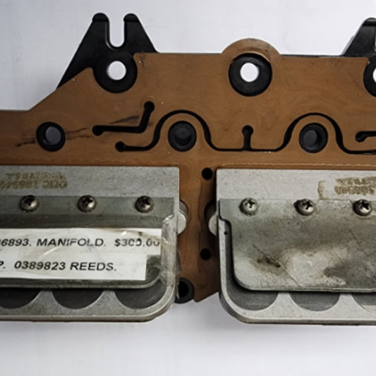 0436893 0389823 BRP Reeds & Manifold | Genuine Used Part