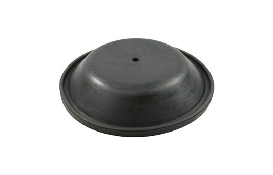 SP81 Diaphragm For AAA RWB2202 Pump
