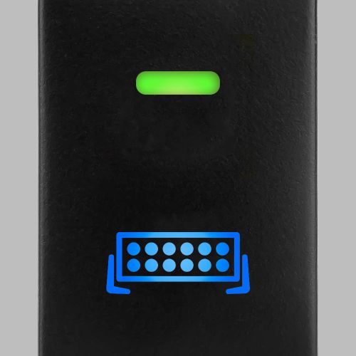 SHORT-TOY-BAR | Genuine STEDI Product