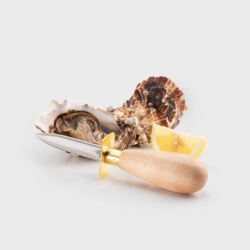 SH3833 Taylor's 7cm Oyster Shucking Knife (Beech Handle) | Fishing & Outdoor Knife