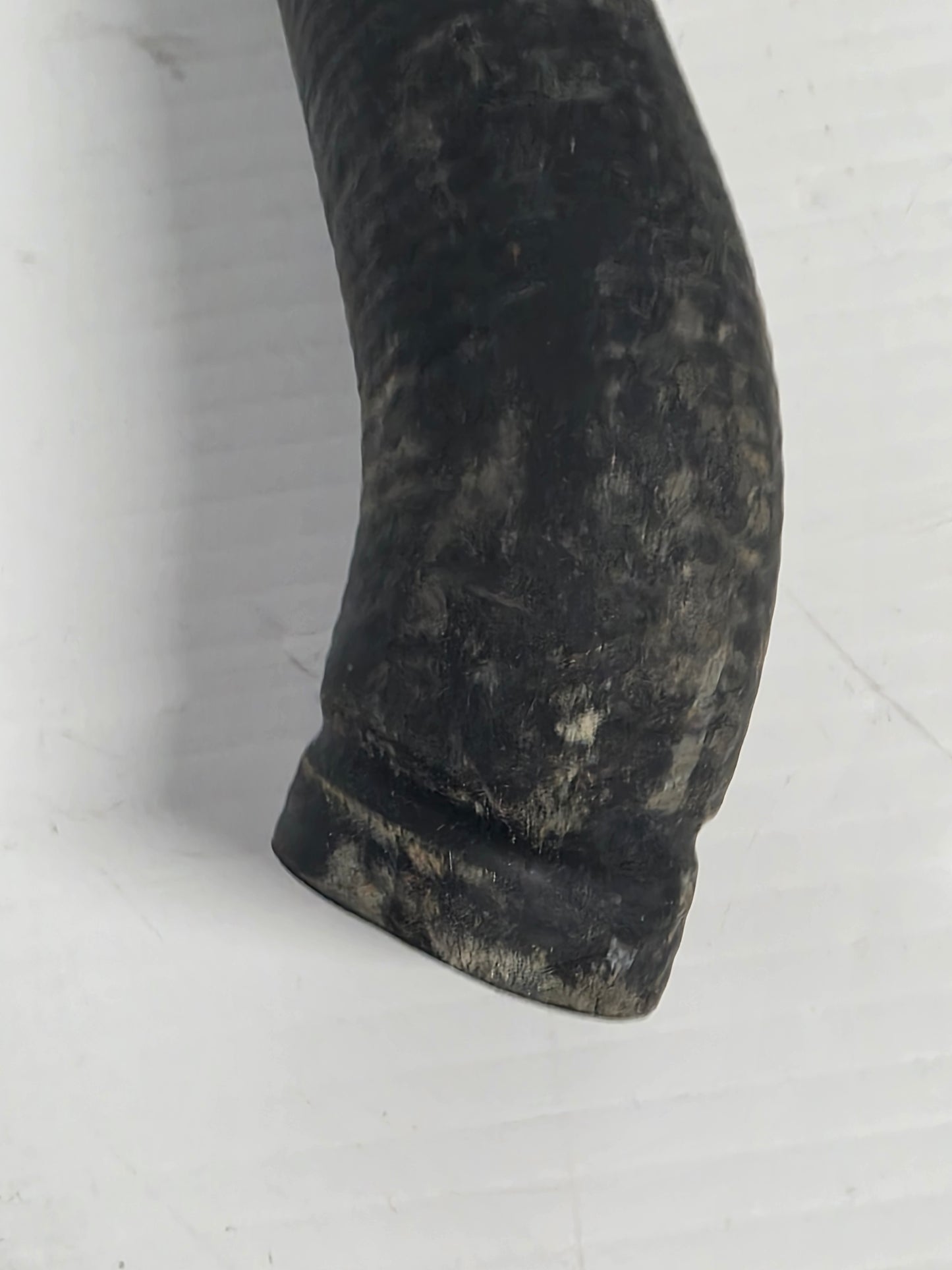 276000493 Seadoo Return Hose | Genuine Used Part