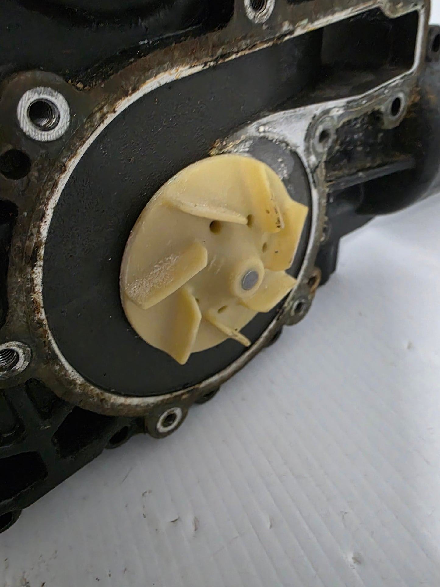 420481440 Seadoo Timing Cover | Genuine Used Part