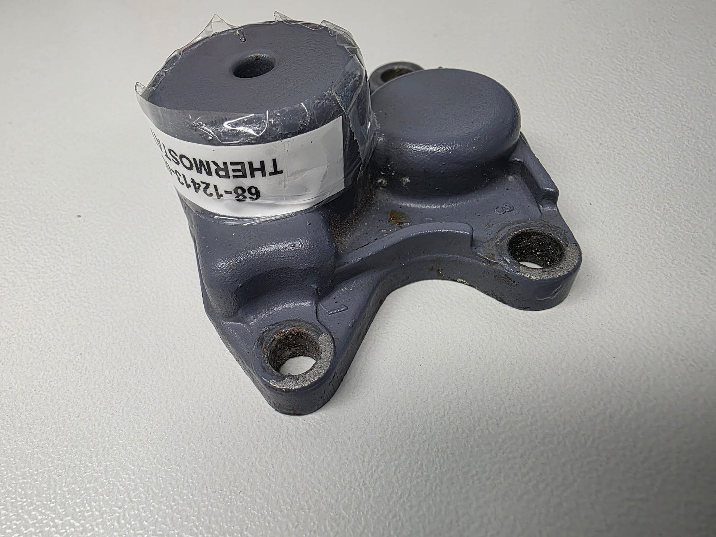 68-12413-00-1S Yamaha Thermostat Cover | Genuine Used Part