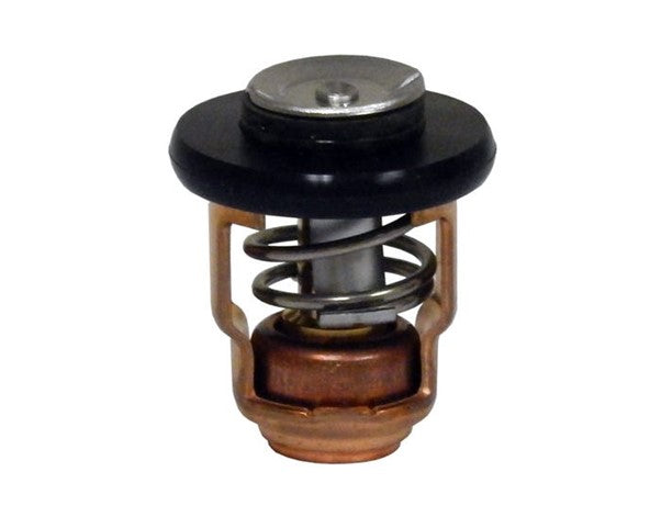 6E5-12411-30 Yamaha Thermostat | Genuine OEM Yamaha Outboard Part