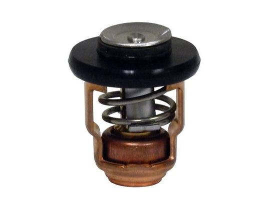 6E5-12411-30 Yamaha Thermostat | Genuine OEM Yamaha Outboard Part