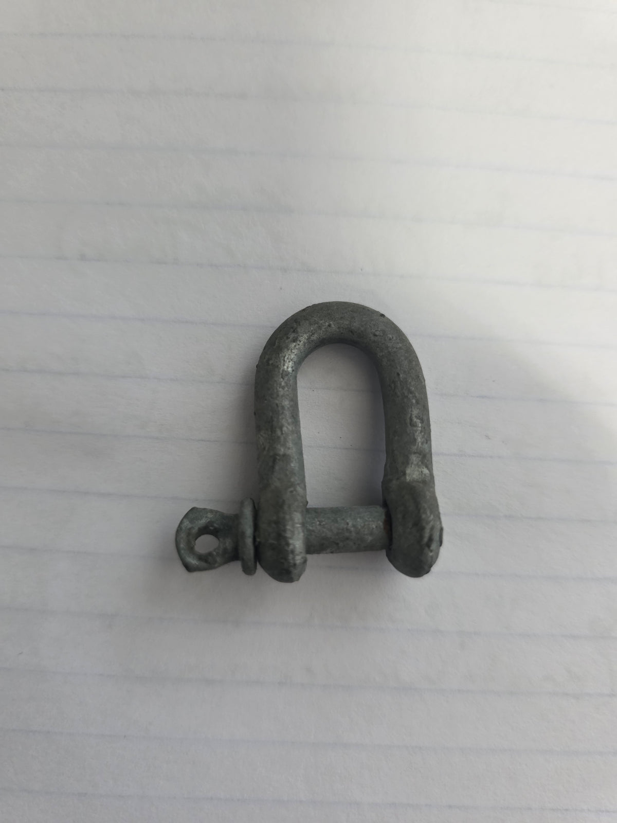 G04019C D Shackle 4.6mm x 19mm Galv | Marine Deck Hardware
