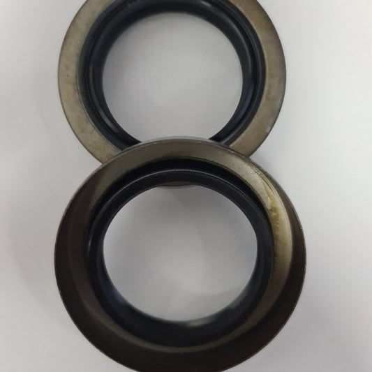 TC12032 RS10015025HNX Oil Seal