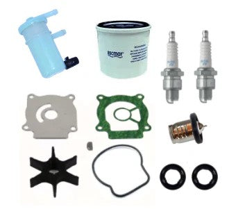 Aftermarket Johnson 25HP 4-Stroke Service Kit (2006-07) | Sawley's Select Marine Parts