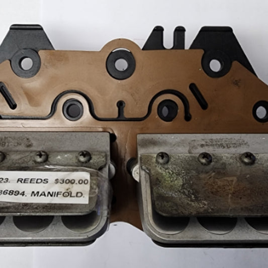 0436894 0389823 BRP Reeds & Manifold | Genuine Used Part